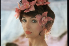 Kate Bush Katebush