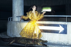 Kate Bush Katebush