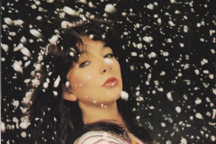 Kate Bush Katebush